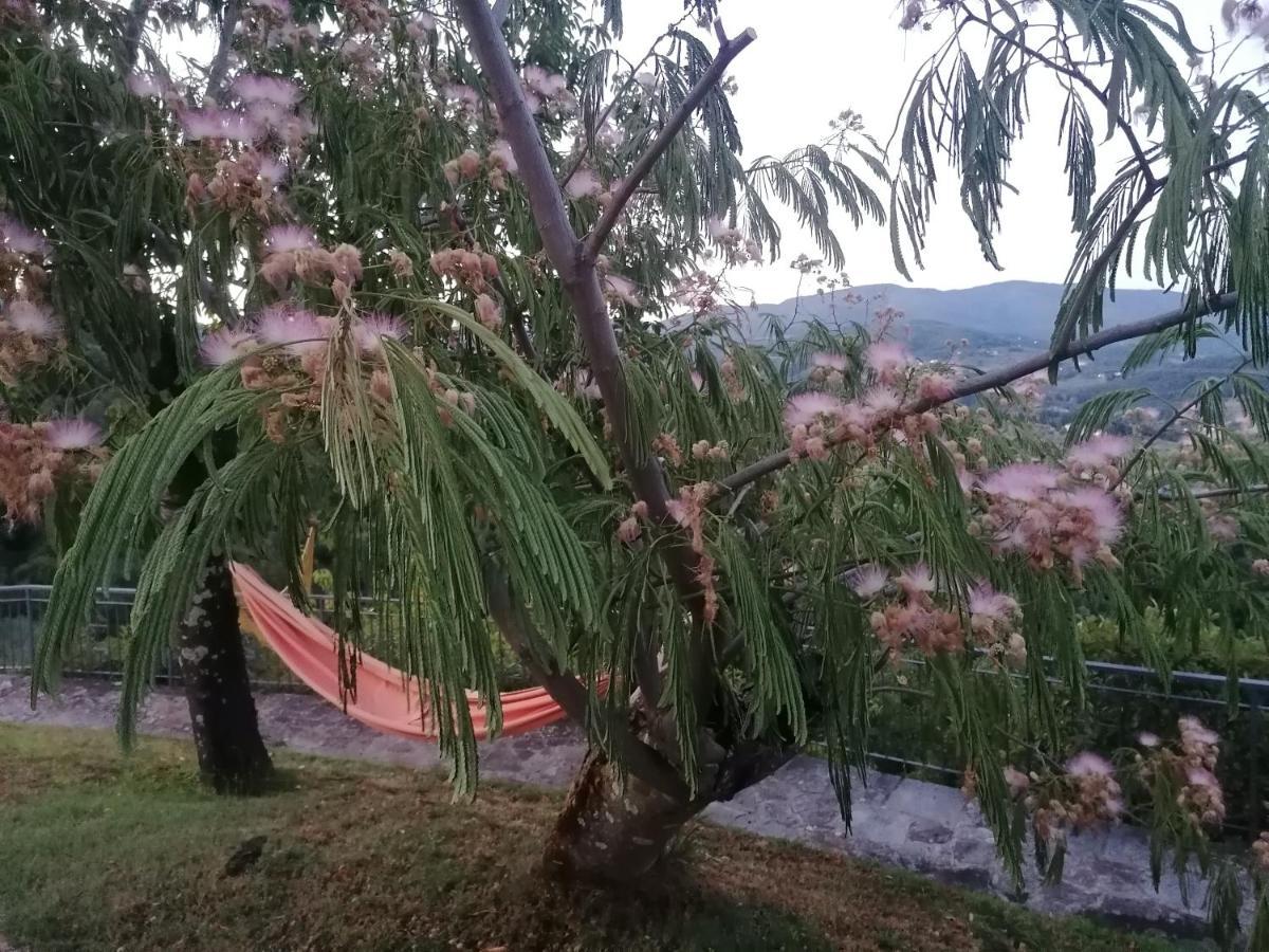 Casina In Pietra Villa Pistoia Bagian luar foto